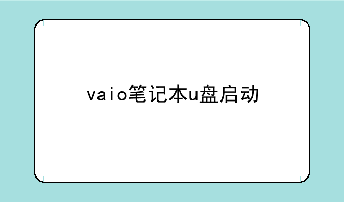 vaio笔记本u盘启动