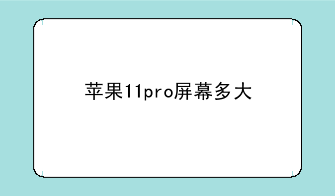 苹果11pro屏幕多大