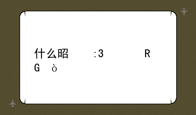 什么是掌上电脑？