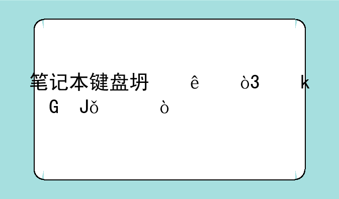 笔记本键盘坏了，多少钱修？
