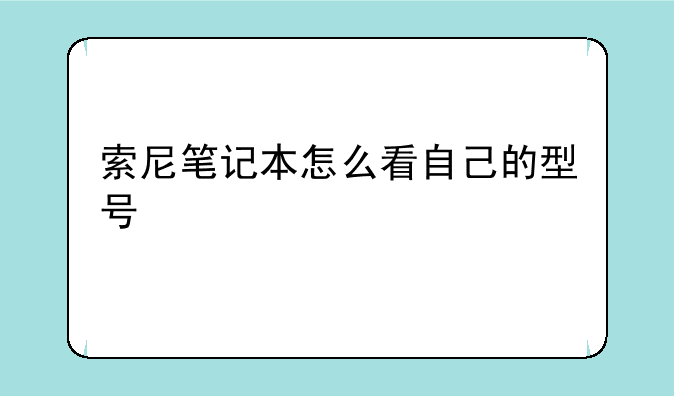 索尼笔记本怎么看自己的型号
