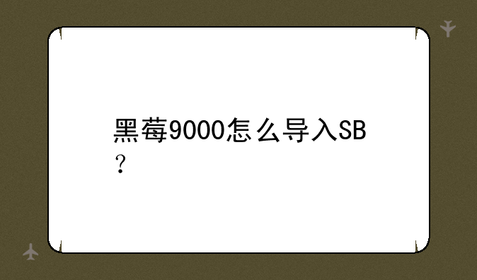 黑莓9000怎么导入SB？