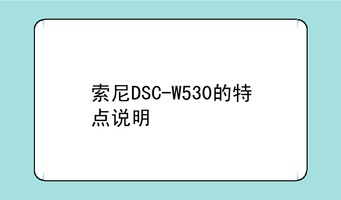 索尼DSC-W530的特点说明