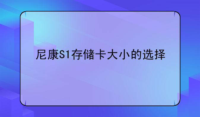 尼康S1存储卡大小的选择