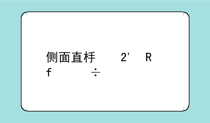 侧面直板按键智能手机？