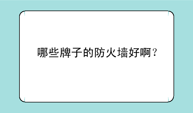 哪些牌子的防火墙好啊？