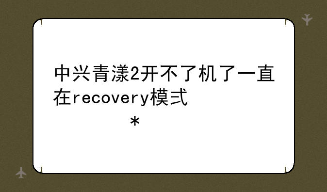 中兴青漾2开不了机了一直在recovery模式求助