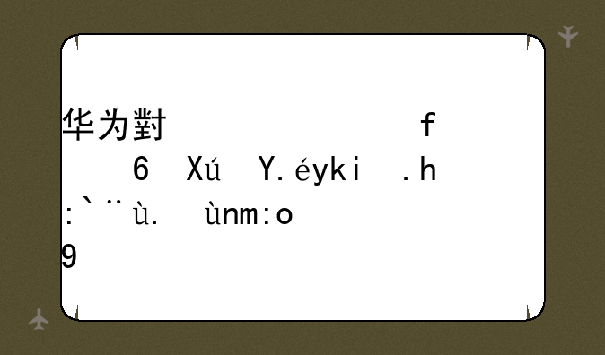 华为小精灵智慧屏可以学习那些年龄段