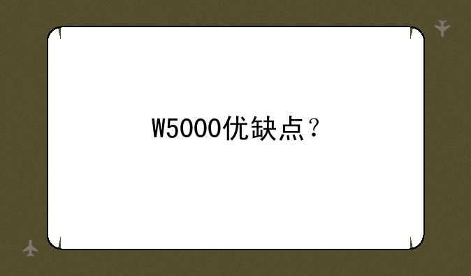W5000优缺点？