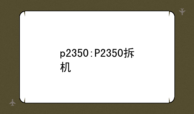 p2350:P2350拆机