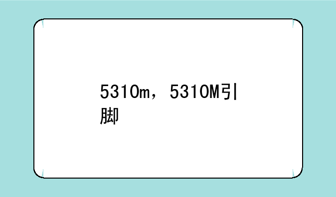 5310m，5310M引脚