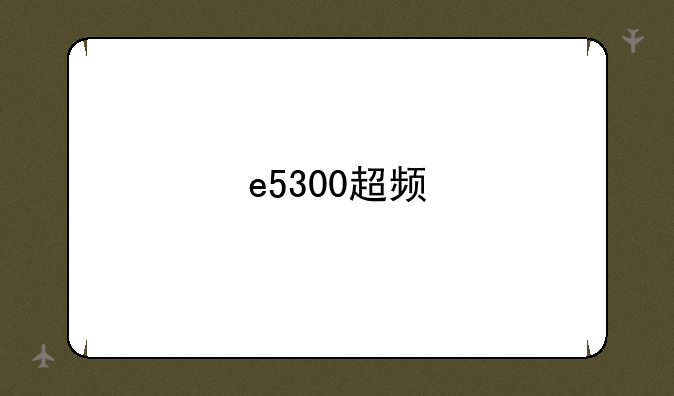 e5300超频