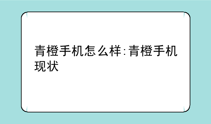 青橙手机怎么样:青橙手机现状