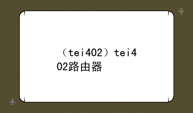 （tei402）tei402路由器