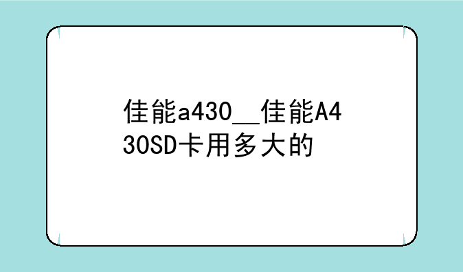 佳能a430__佳能A430SD卡用多大的