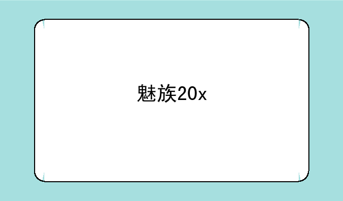 魅族20x