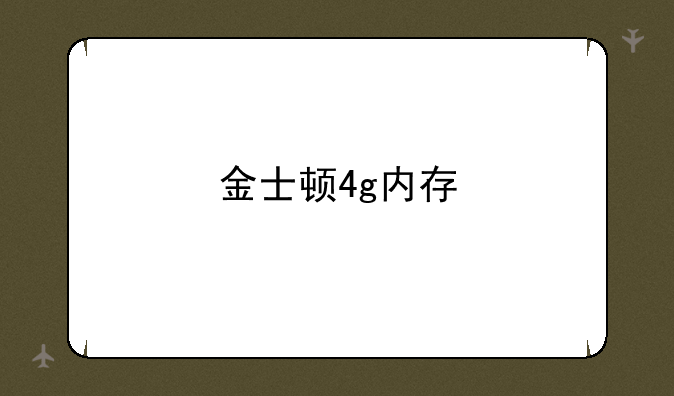 金士顿4g内存