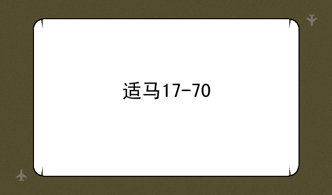 适马17-70