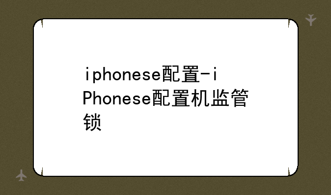 iphonese配置-iPhonese配置机监管锁