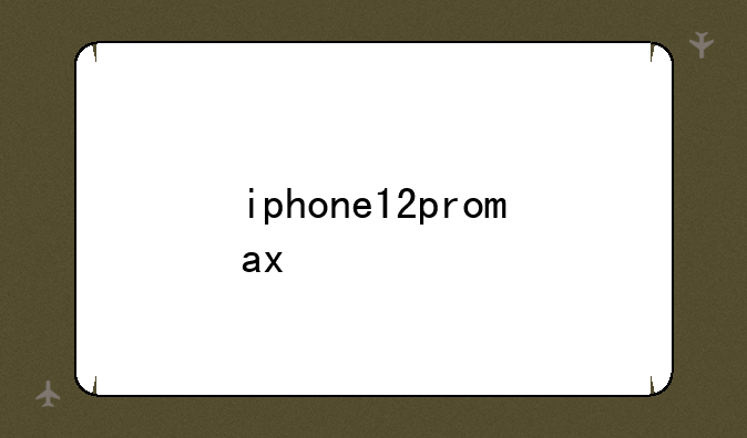 iphone12promax