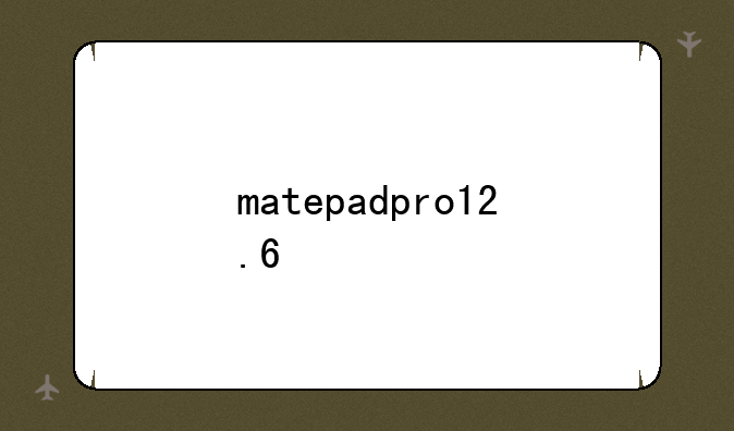 matepadpro12.6